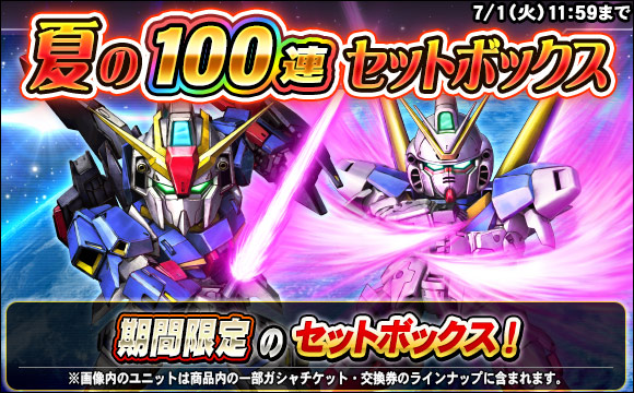夏の100連セットボックス販売