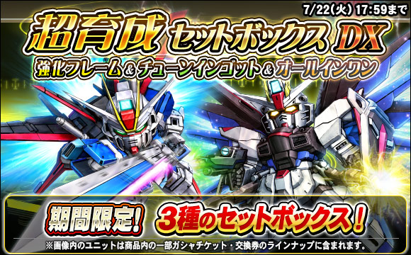 超育成セットボックスDX販売