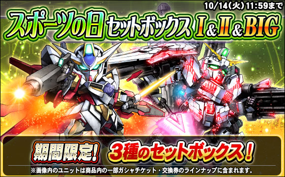 スポーツの日セットボックス販売