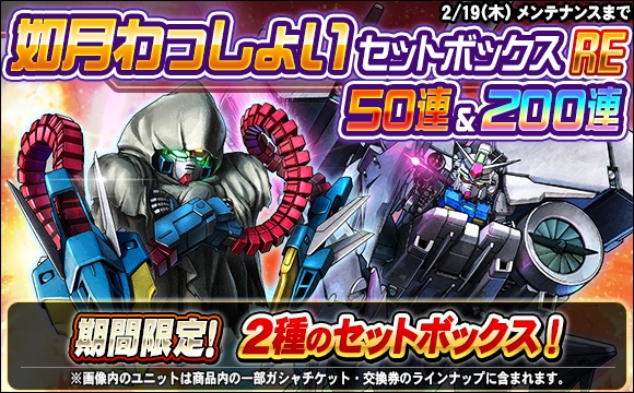 如月わっしょいセットボックスRE販売