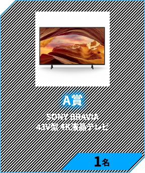 A賞　SONY BRAVIA 43V型 4K液晶テレビ 1名