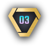 03