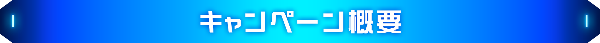 キャンペーン概要