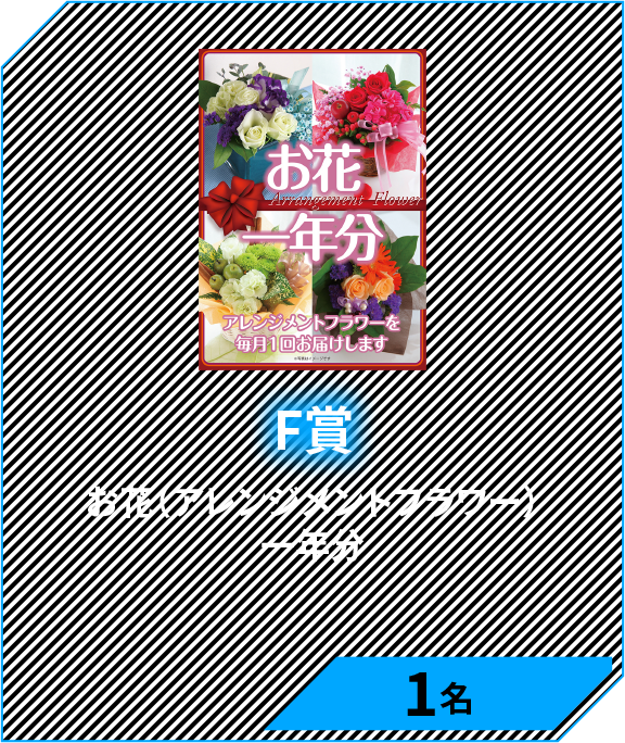 F賞　お花（アレンジメントフラワー）一年分　1名