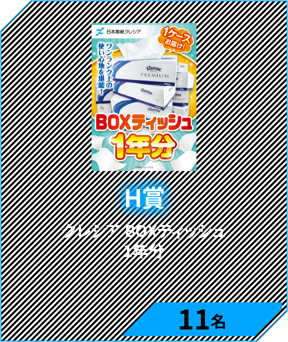H賞　クレシア BOXティッシュ1年分　11名