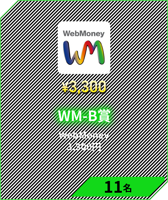 WM-B賞　WebMoney 3,300円 11名