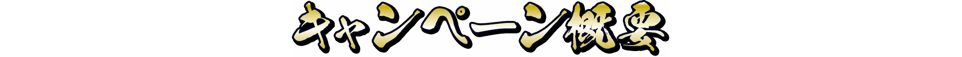 キャンペーン概要