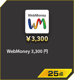 WebMoney 3,300円